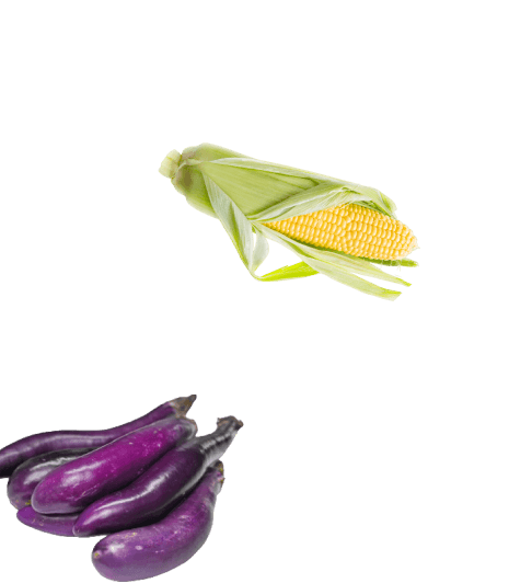 2 veggies