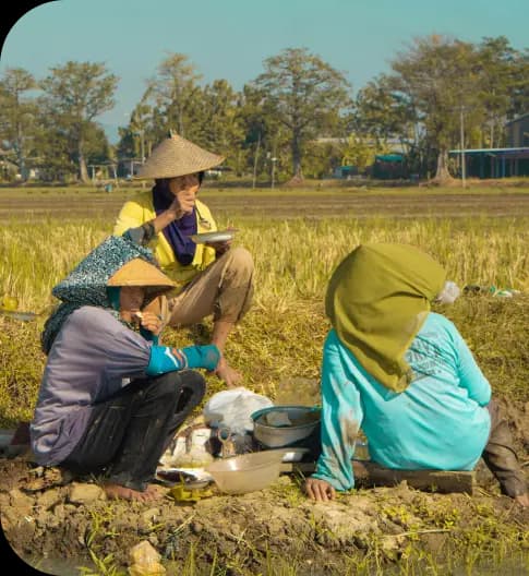 Petani Image