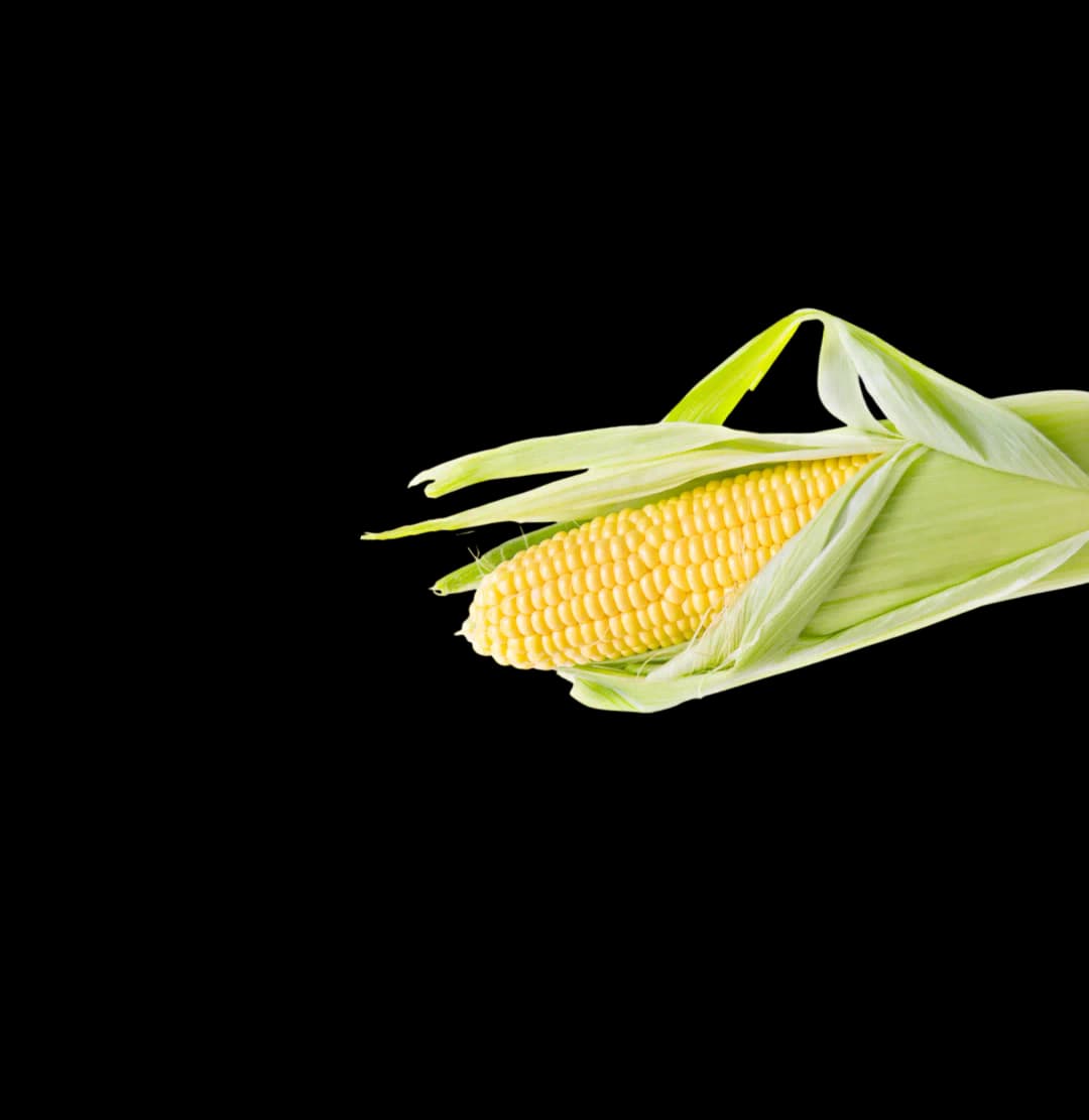 Jagung