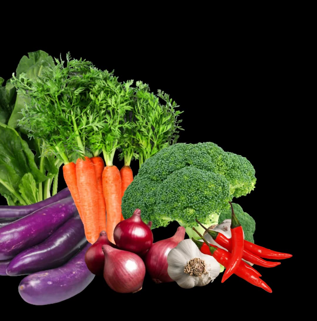 sayur-1